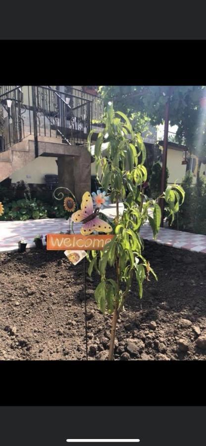 Vila Vlad Două Mai Esterno foto